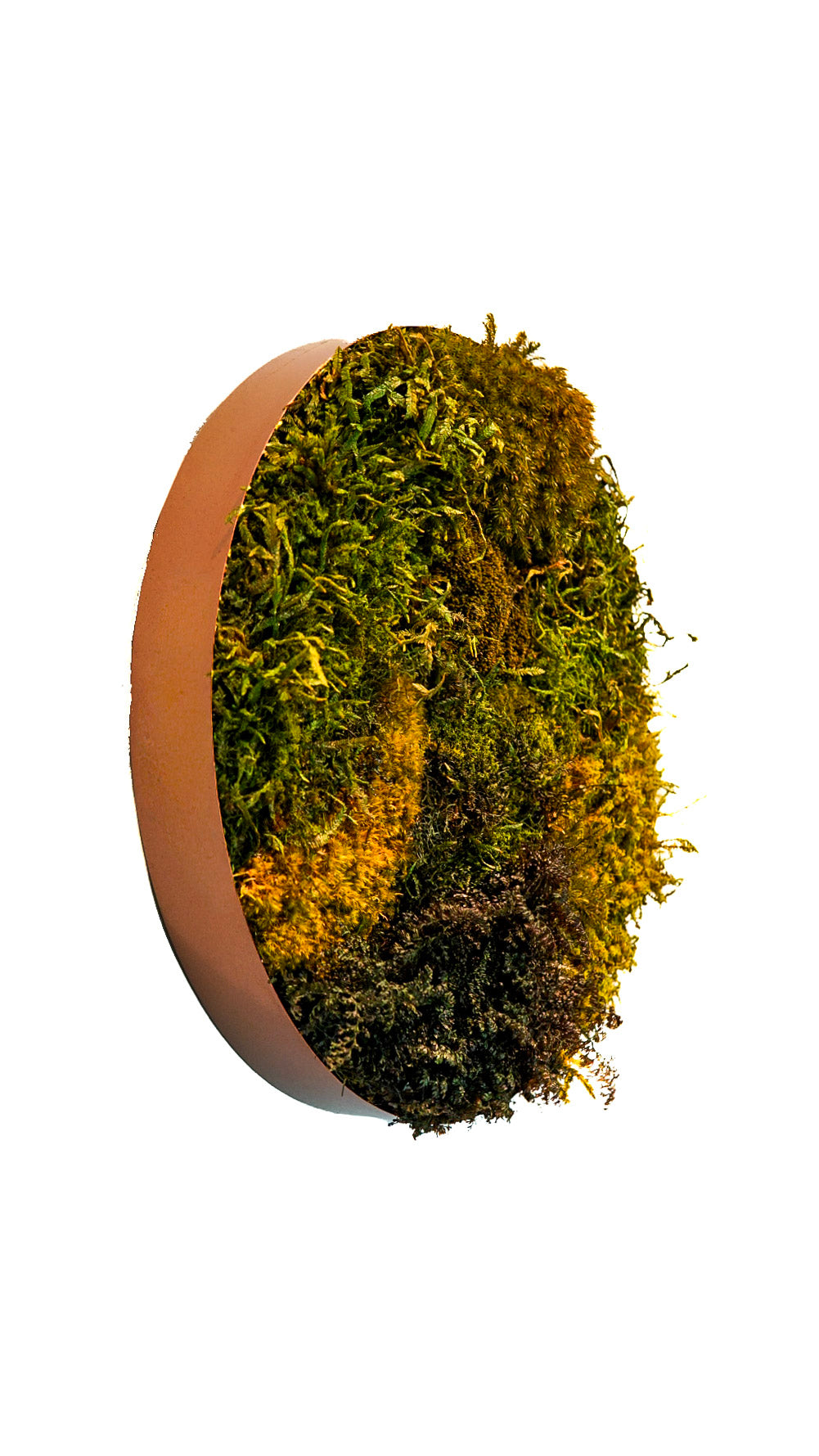 Quadro 35cm cobre (círculo)