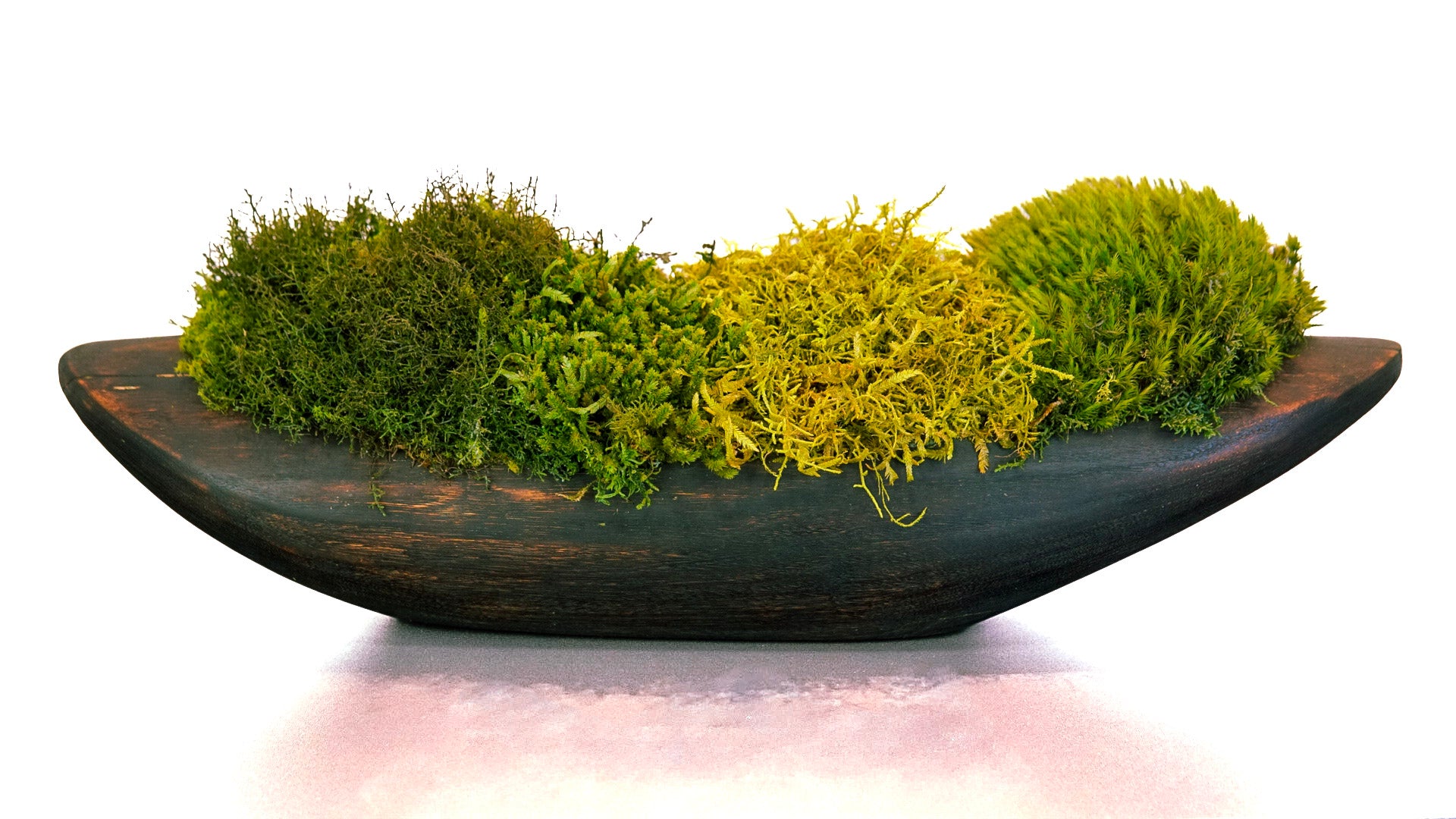 Verdant Horizon ll