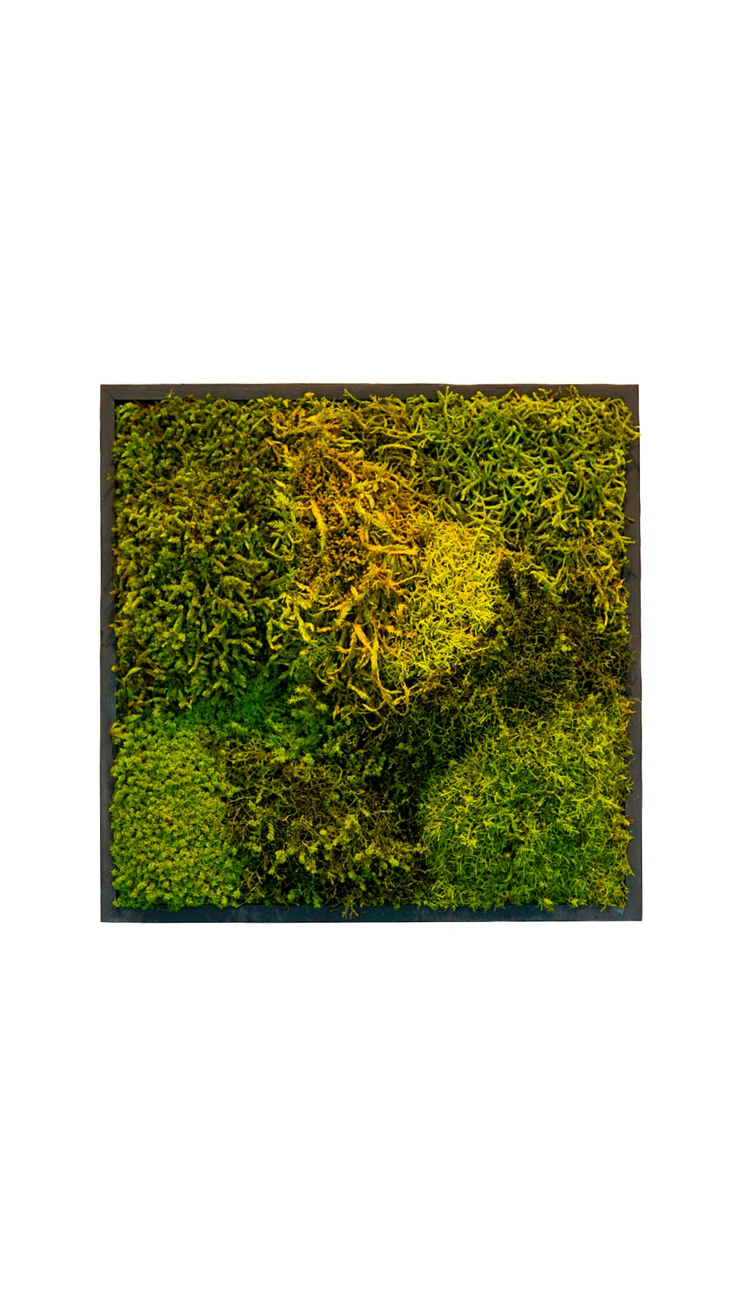 Quadro 30 x 30 Preto I