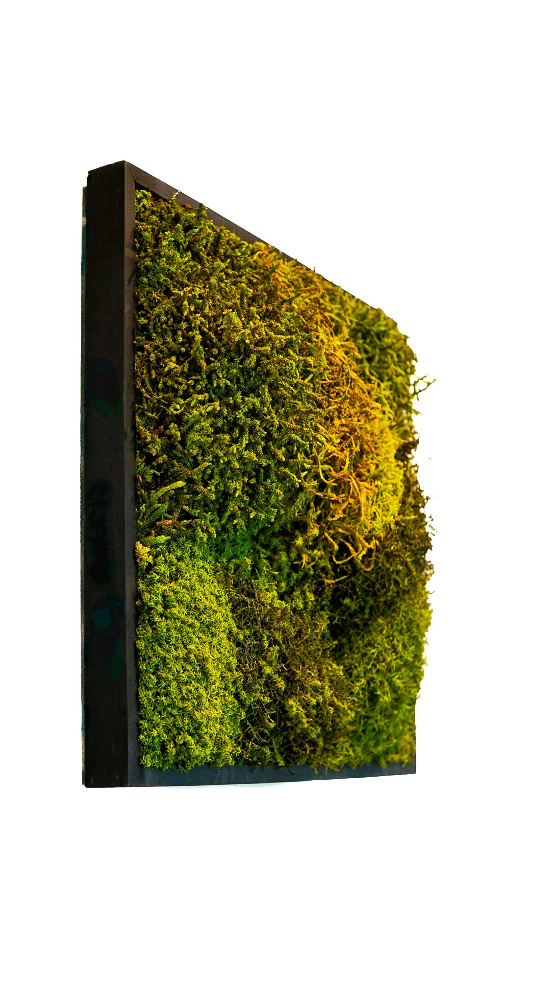 Quadro 30 x 30 Preto I