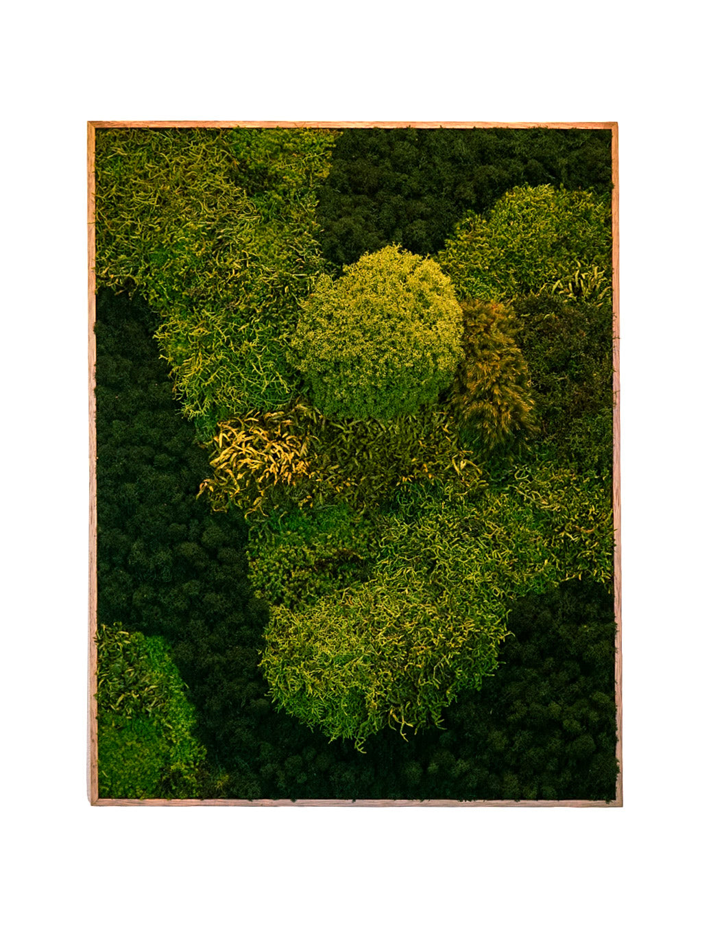 Quadro 90 x 70 Natural(VENDIDO)