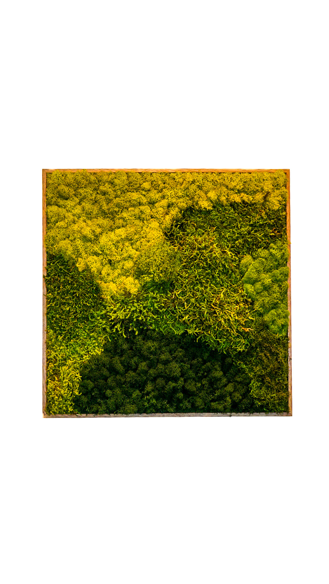 Quadro 60 x 60 Natural I