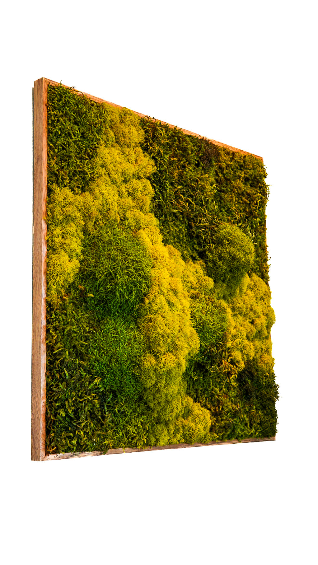 Quadro 60 x 60 Natural III