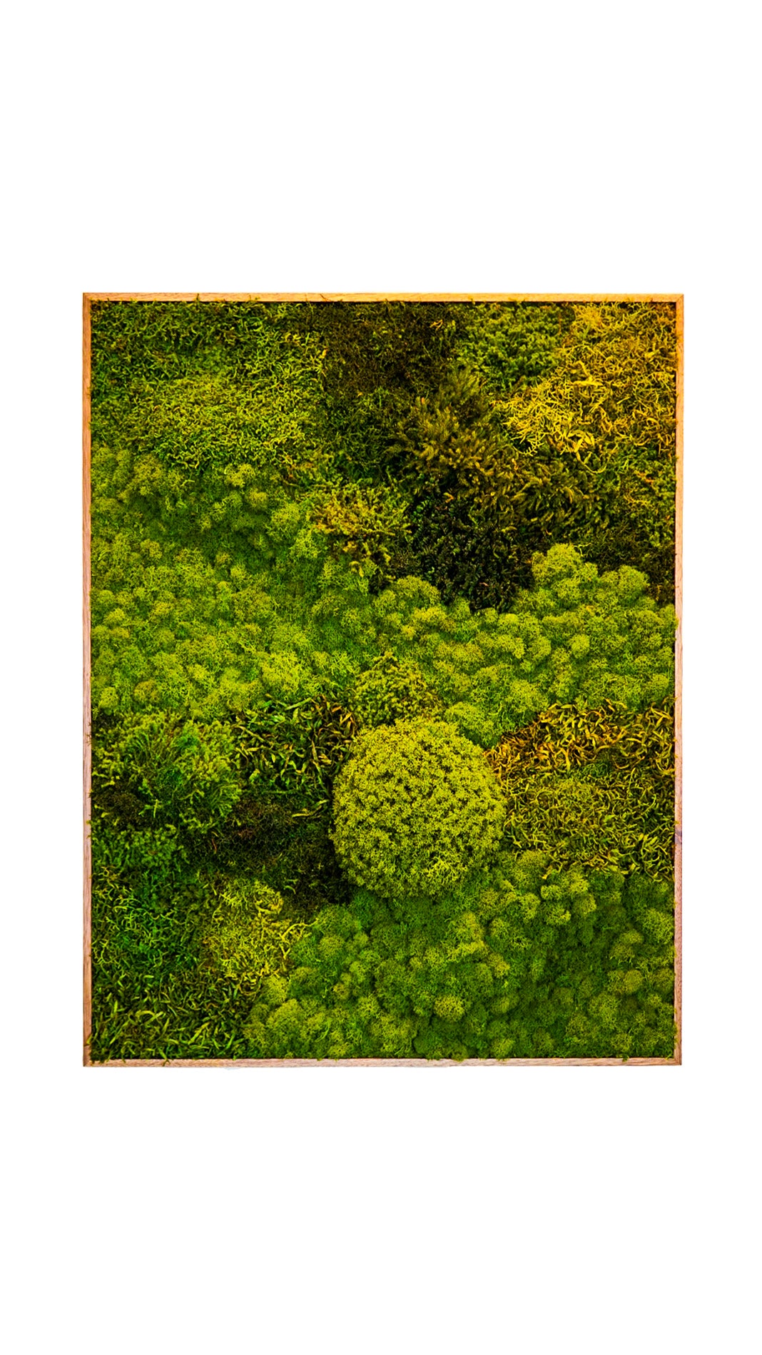 Quadro 90 x 70 Natural I