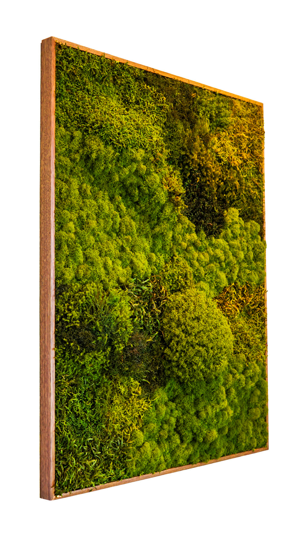 Quadro 90 x 70 Natural I