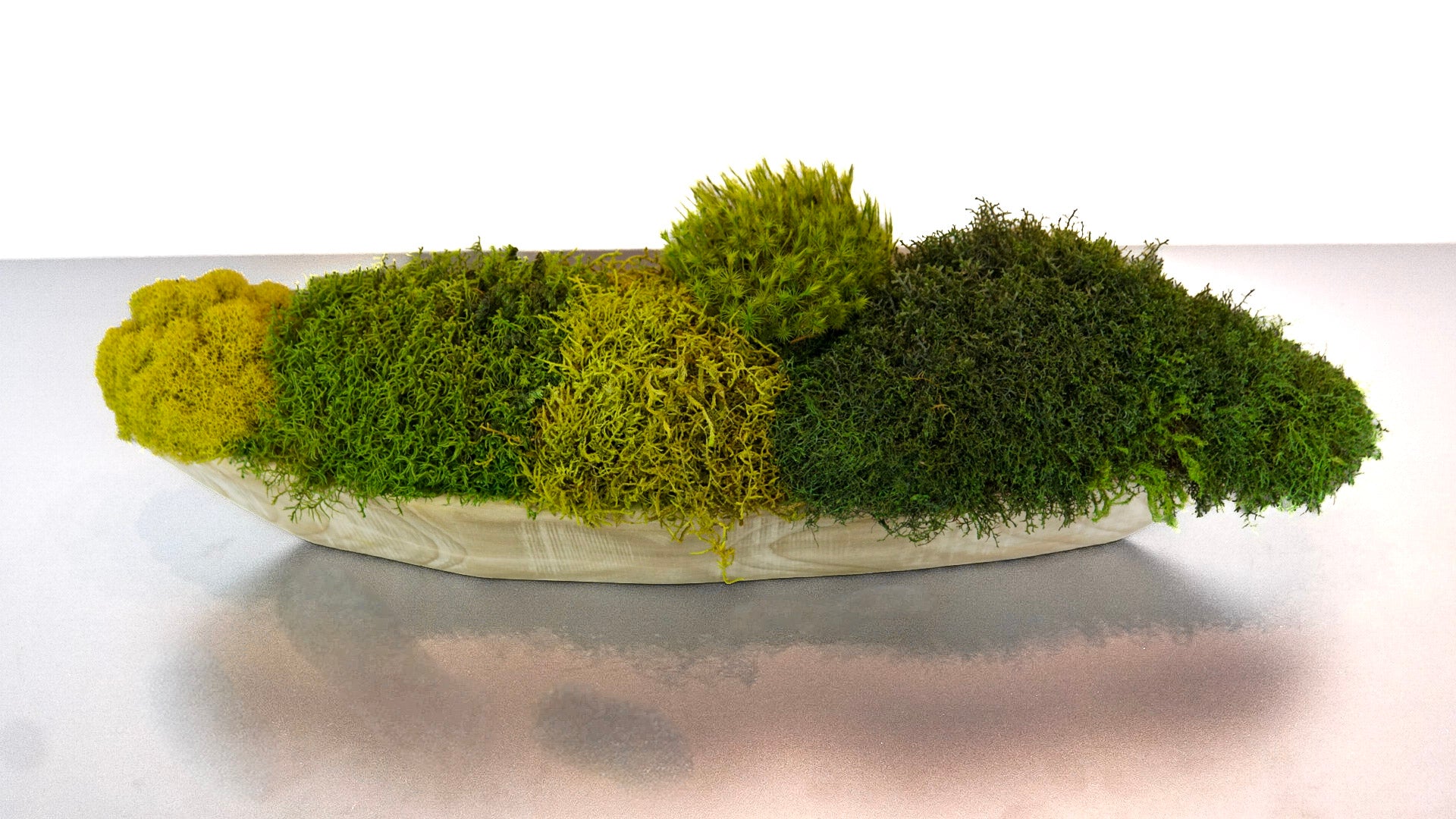 Woodland Canoe III
