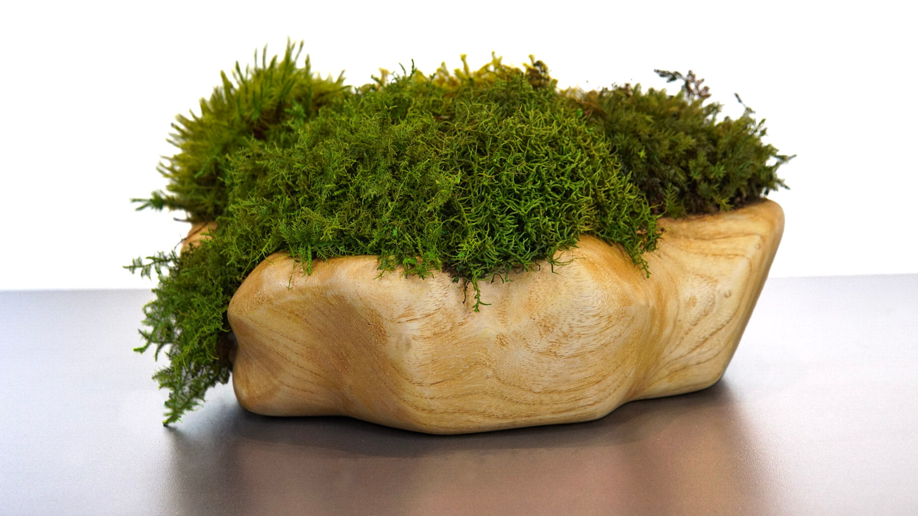 Spalt Wood I