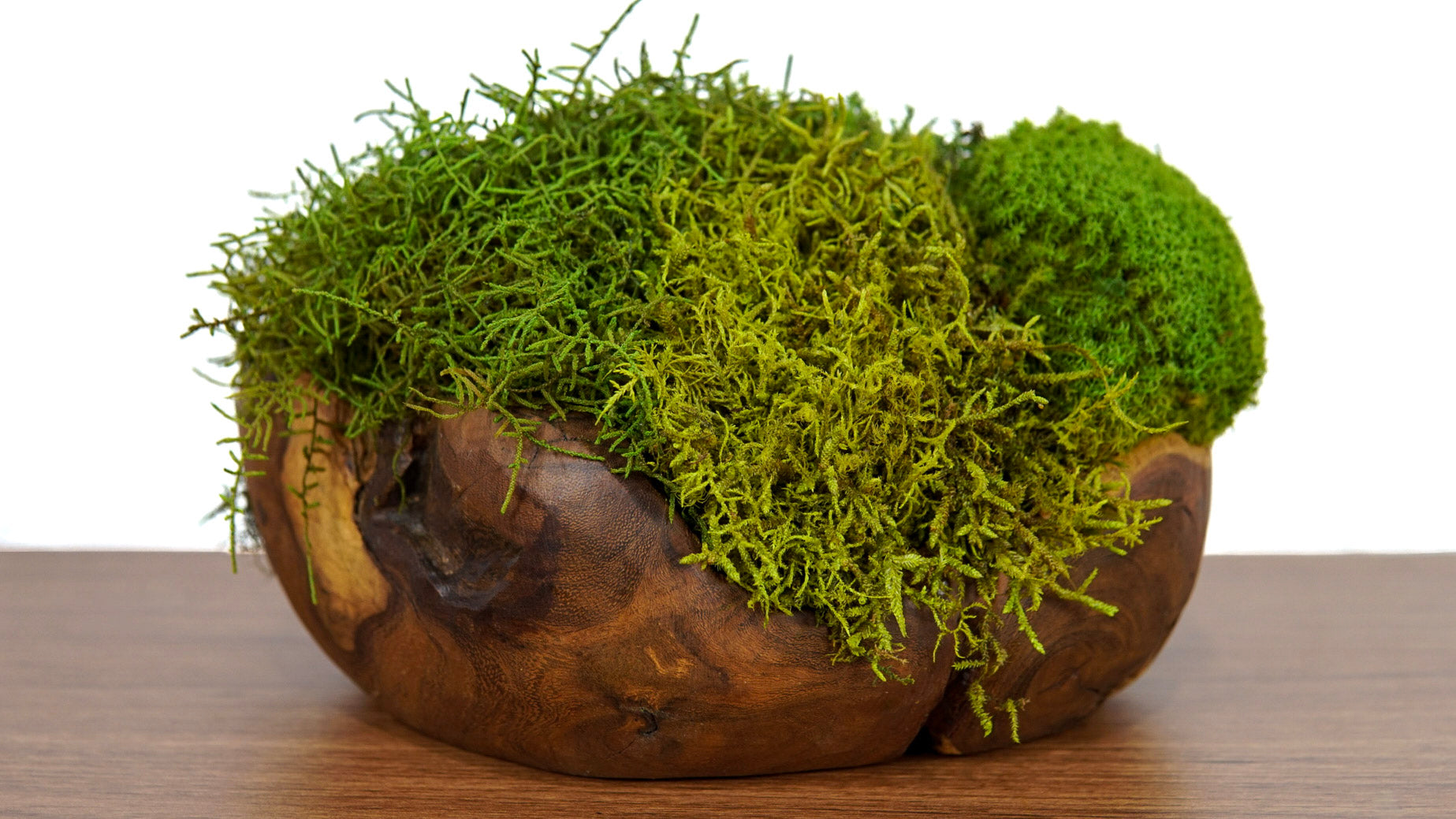 Escultura Root ll