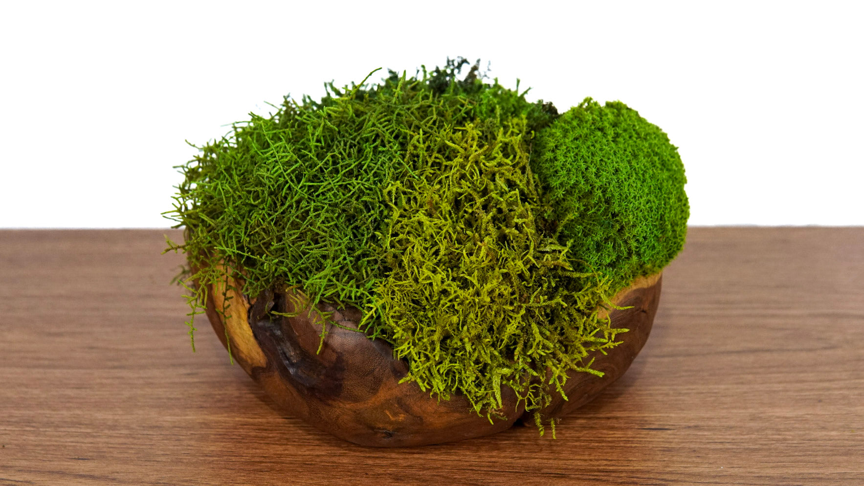 Escultura Root ll