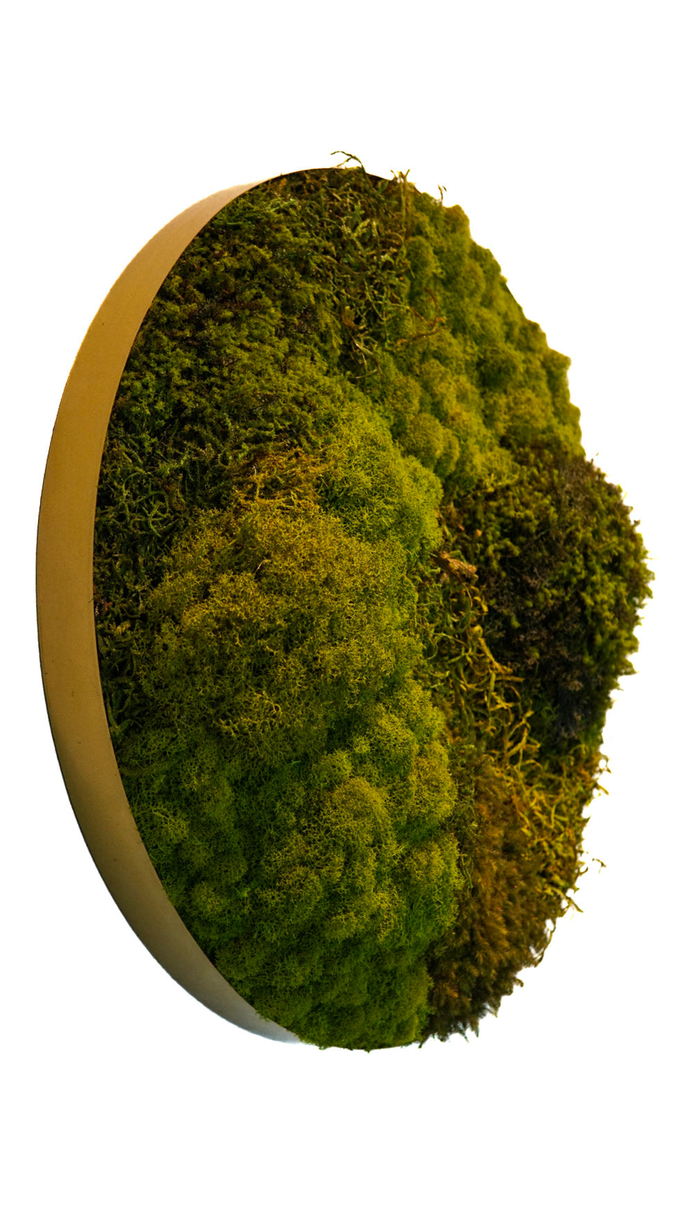 Quadro 52cm dourado (círculo)