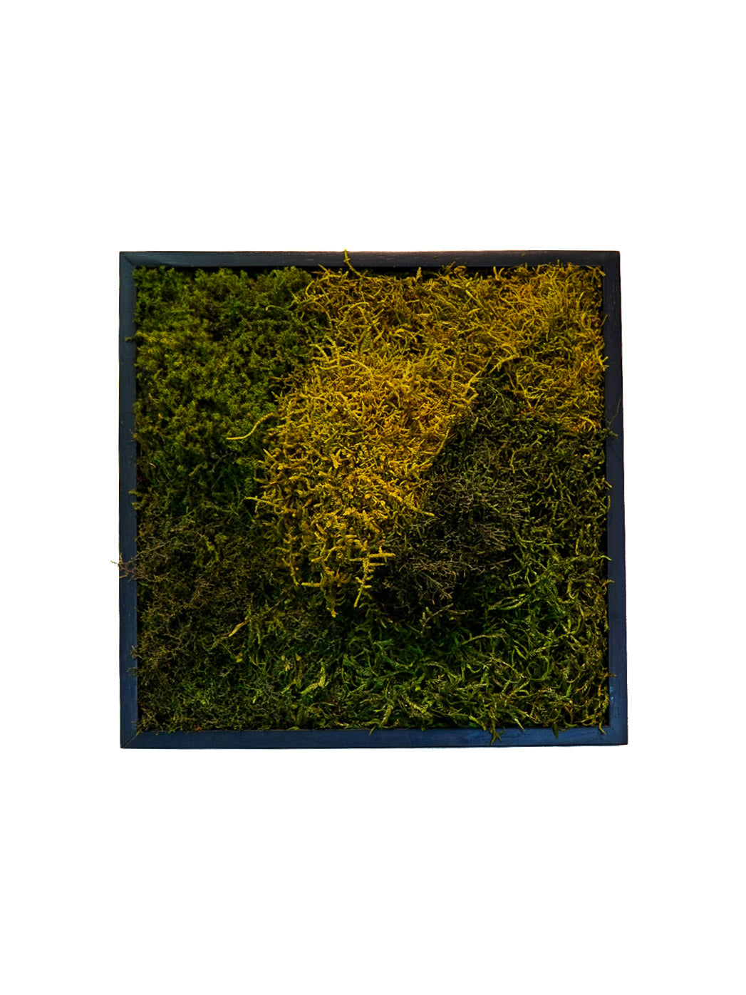 Quadro 30 x 30 Preto IV