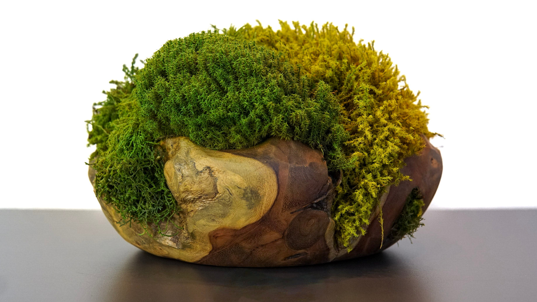 Escultura Root llI