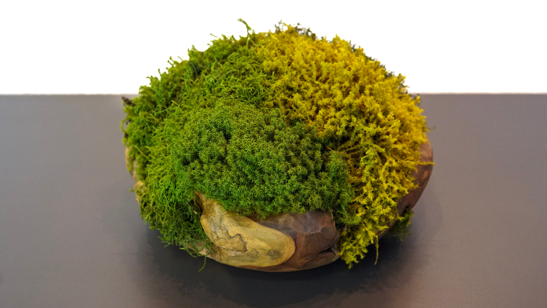 Escultura Root llI