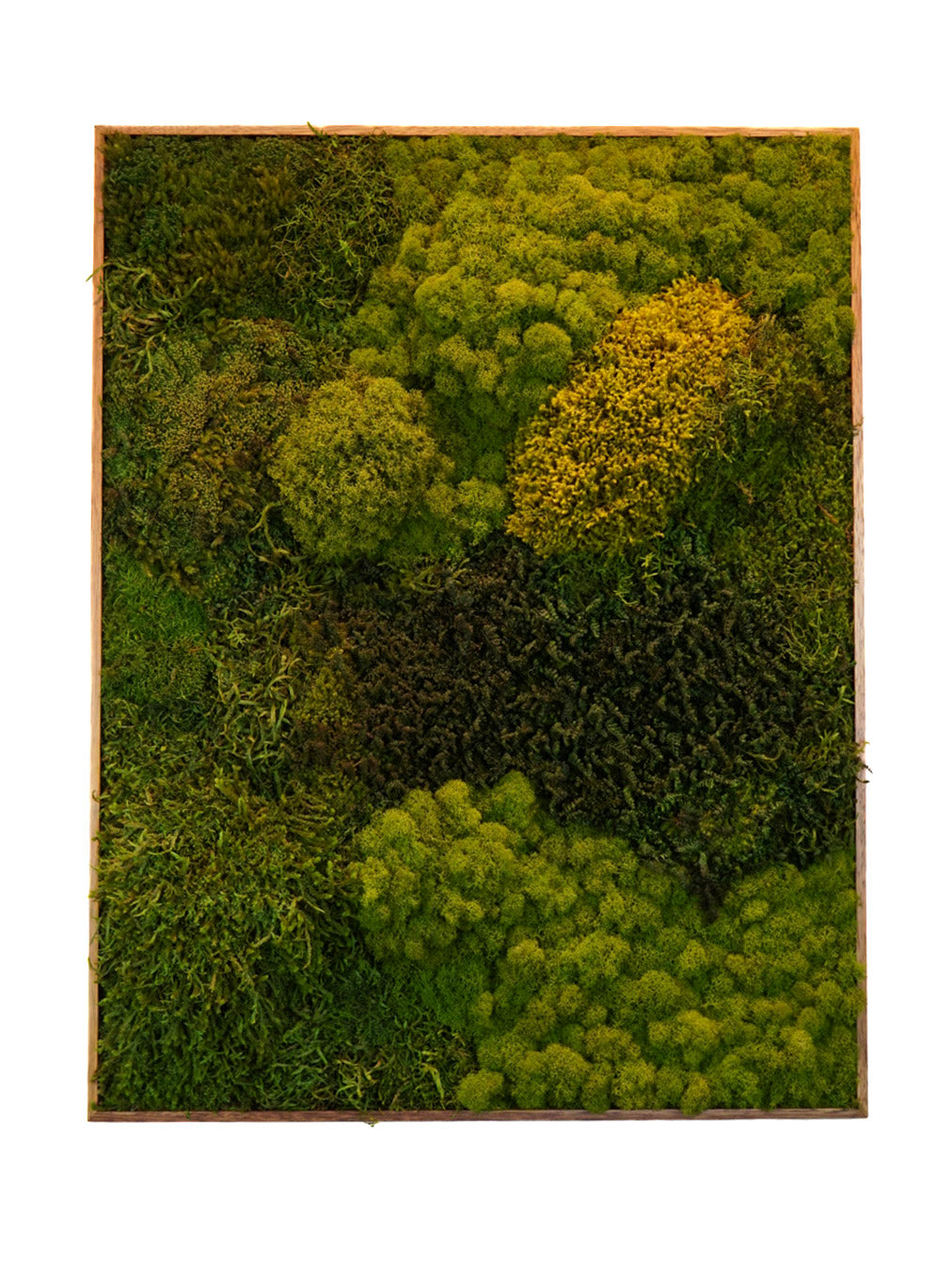 Quadro 90 x 70 Natural I