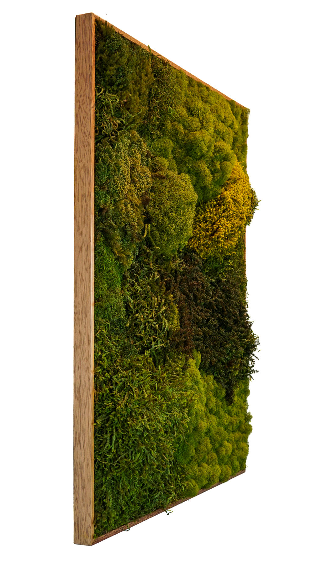 Quadro 90 x 70 Natural I