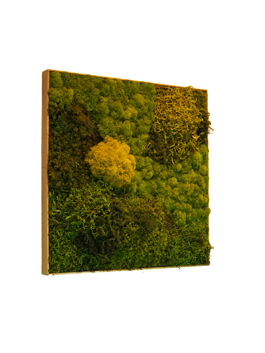 Quadro 50 x 50 DOURADO III