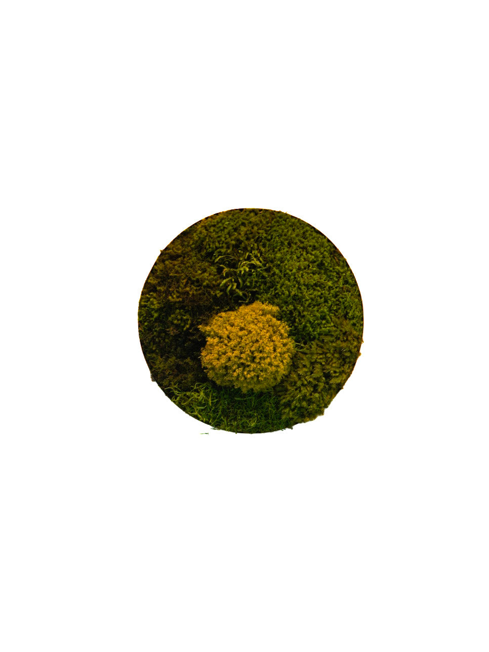 Quadro 35cm dourado (círculo)