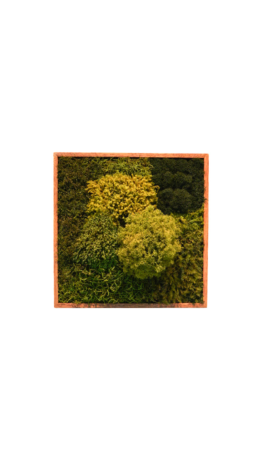 Quadro 30 x 30 Natural II