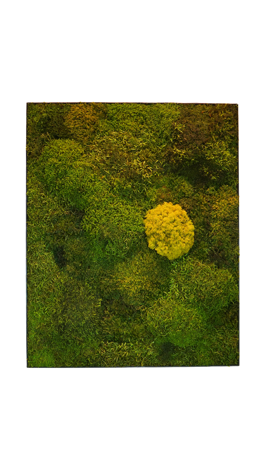 Quadro 80x100 preto III