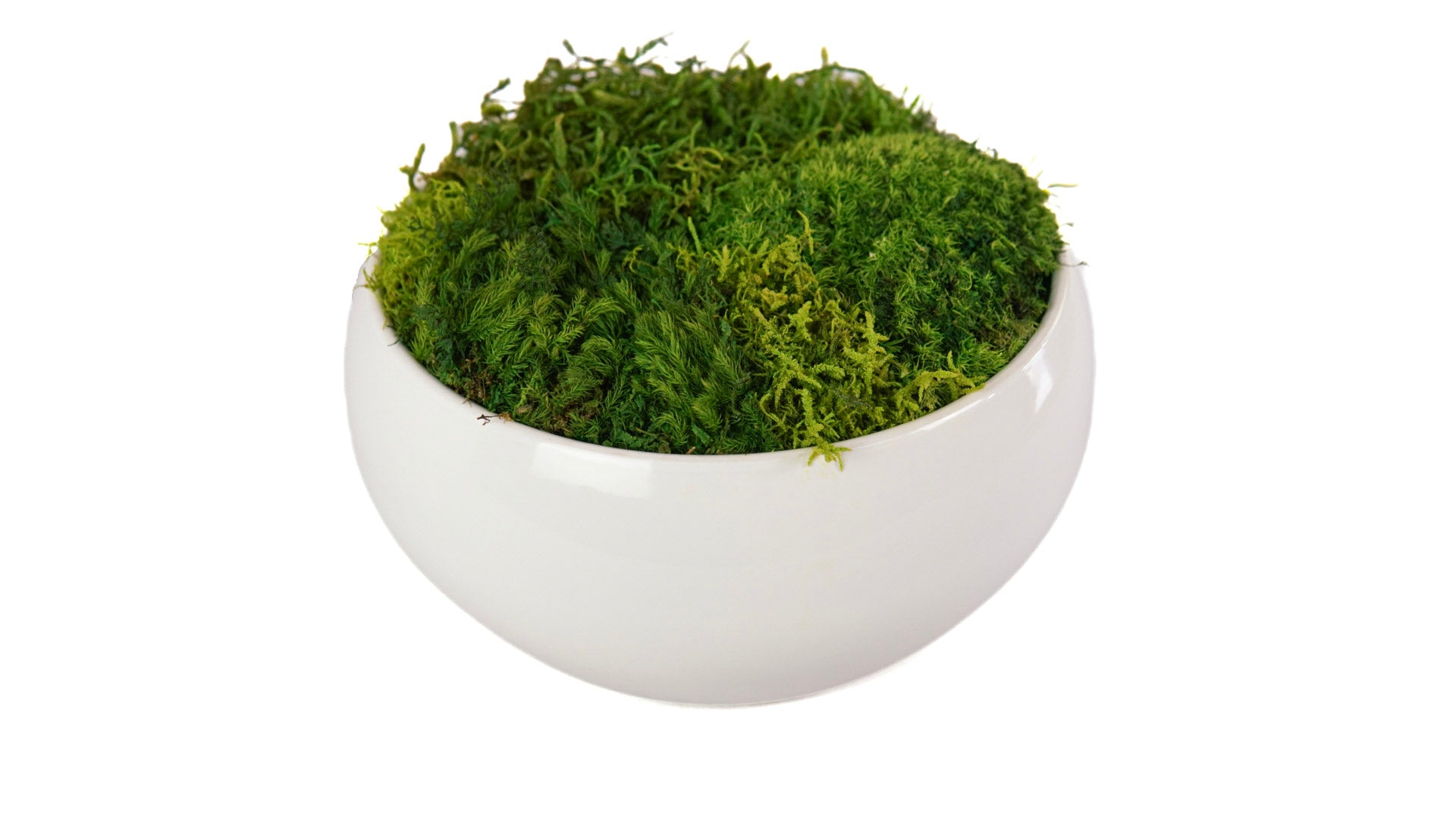 Cloud Moss Bowl I