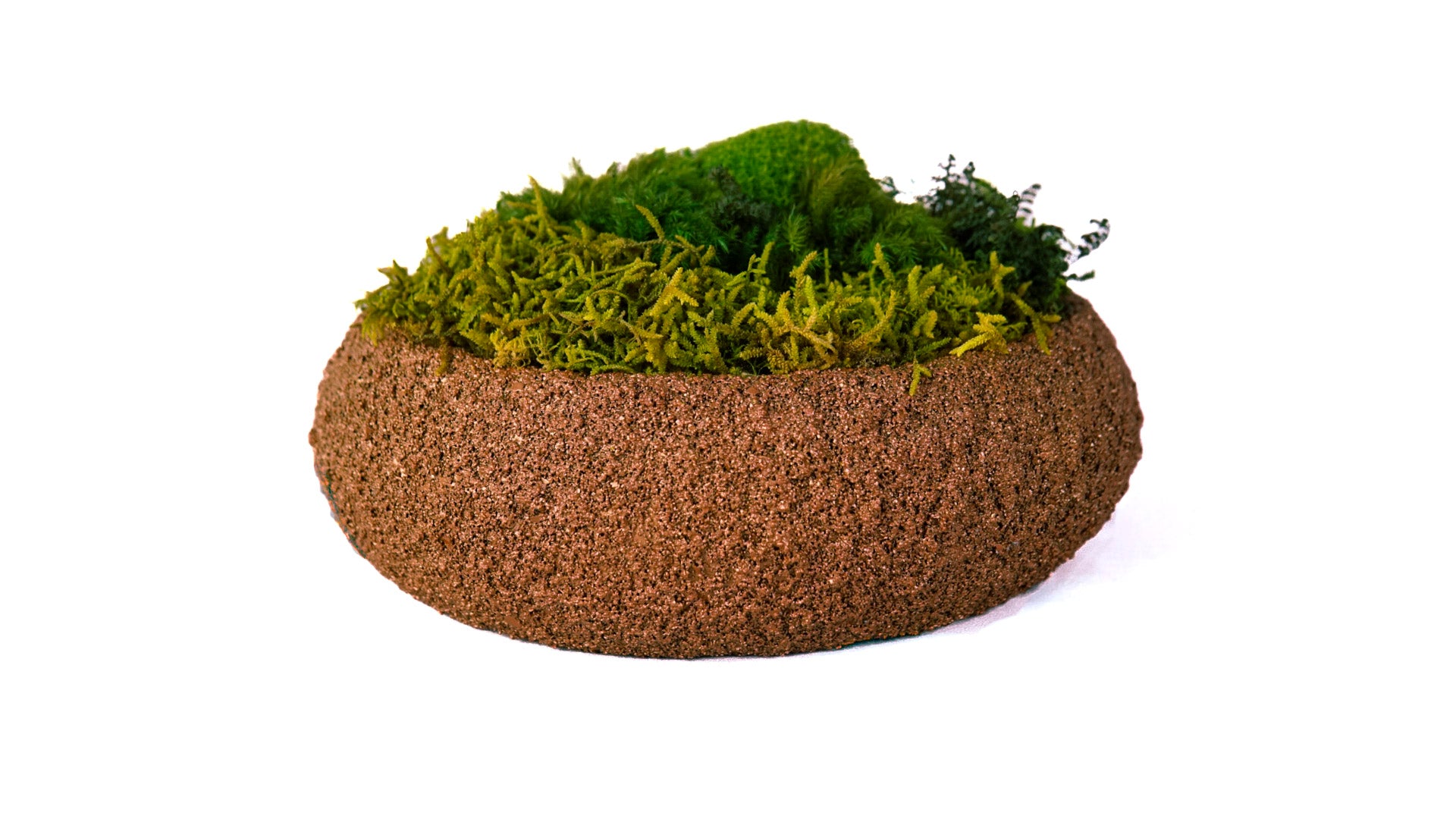 Moss Bowl Texturizado Cobre
