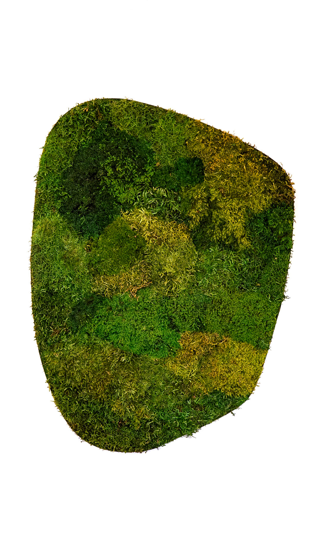 Quadro Marcélia (Dourado)