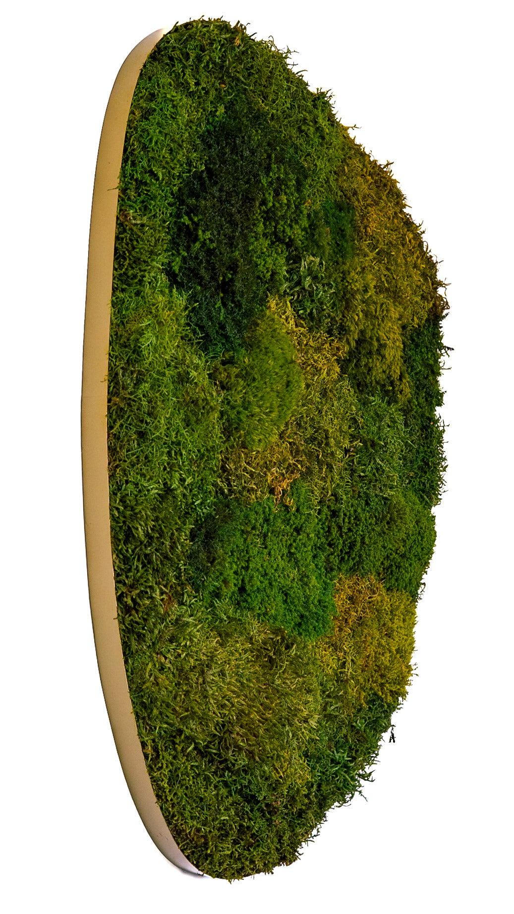 Quadro Marcélia (Dourado)