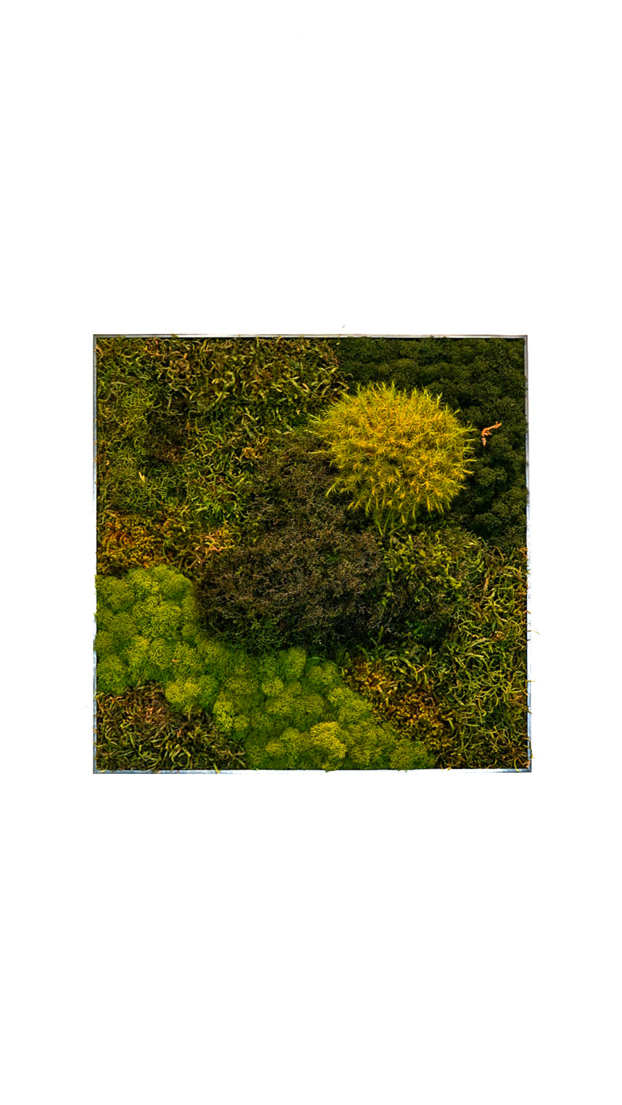 Quadro 50 x 50 Cinza