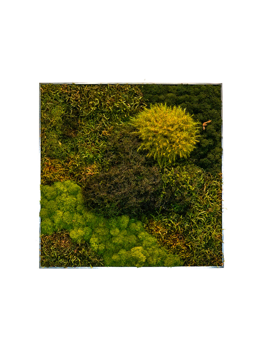 Quadro 50 x 50 Cinza