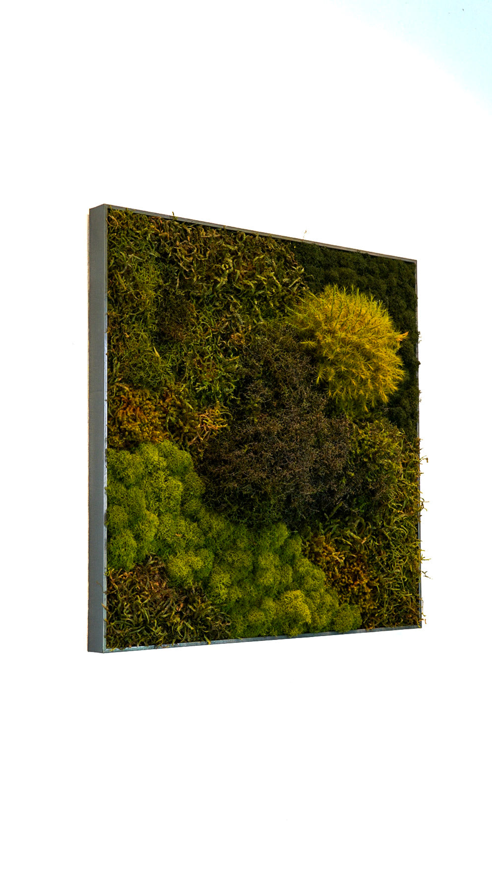 Quadro 50 x 50 Cinza