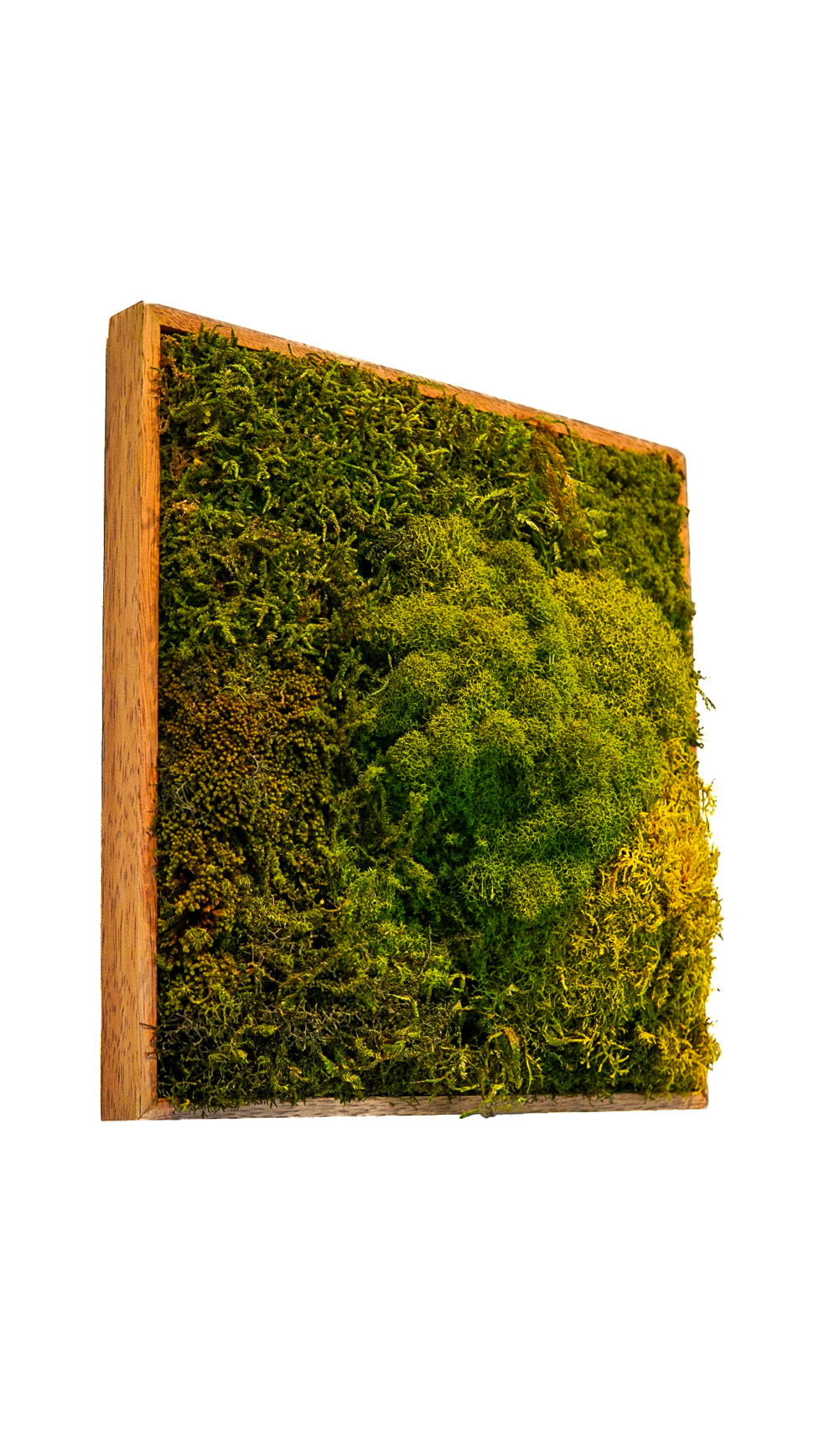 Quadro 30 x 30 Natural