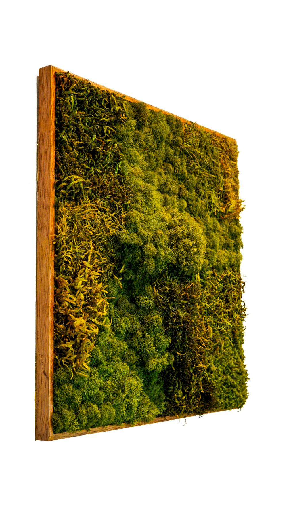 Quadro 50 x 50 Natural I
