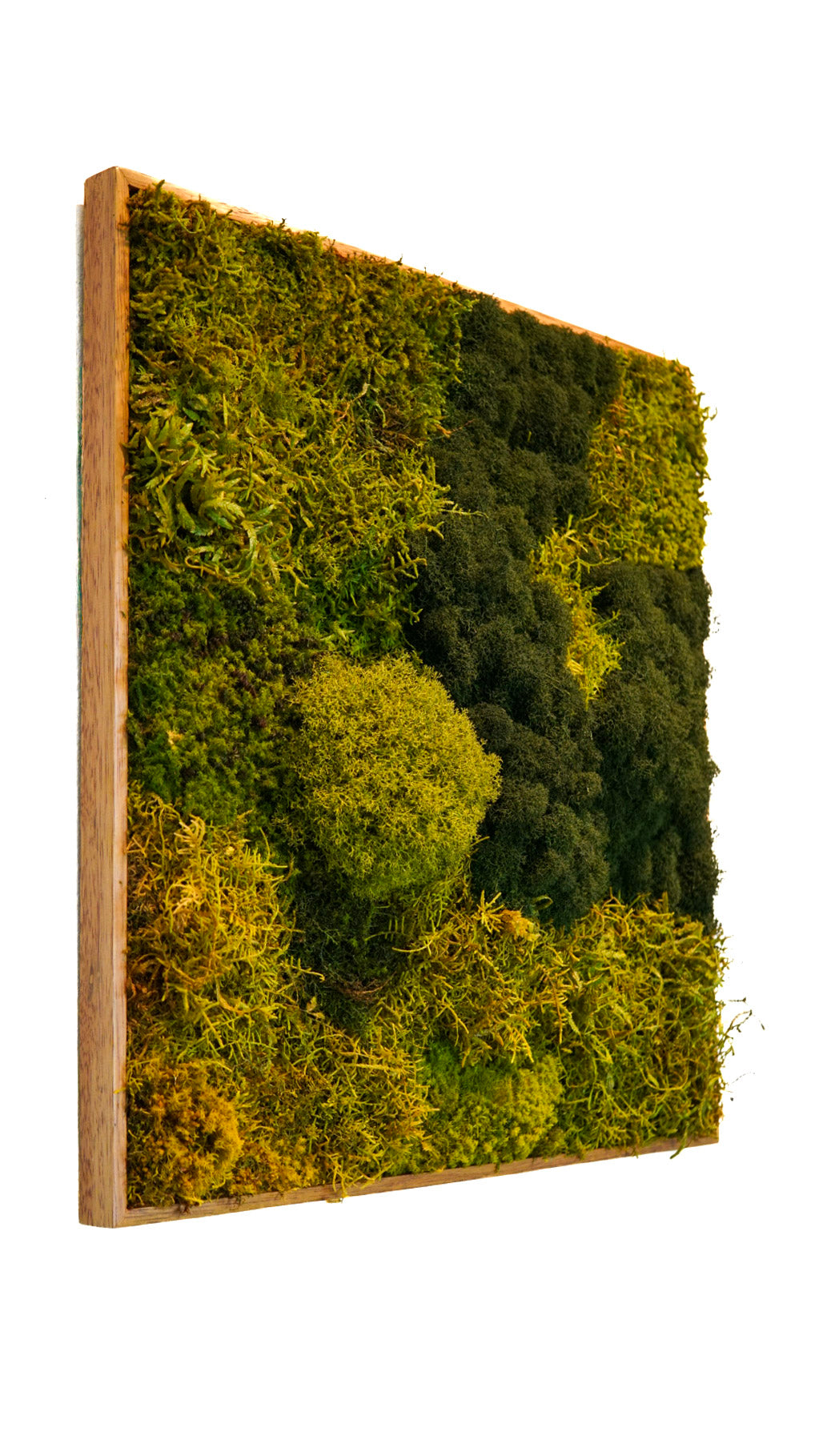 Quadro 50 x 50 Natural II