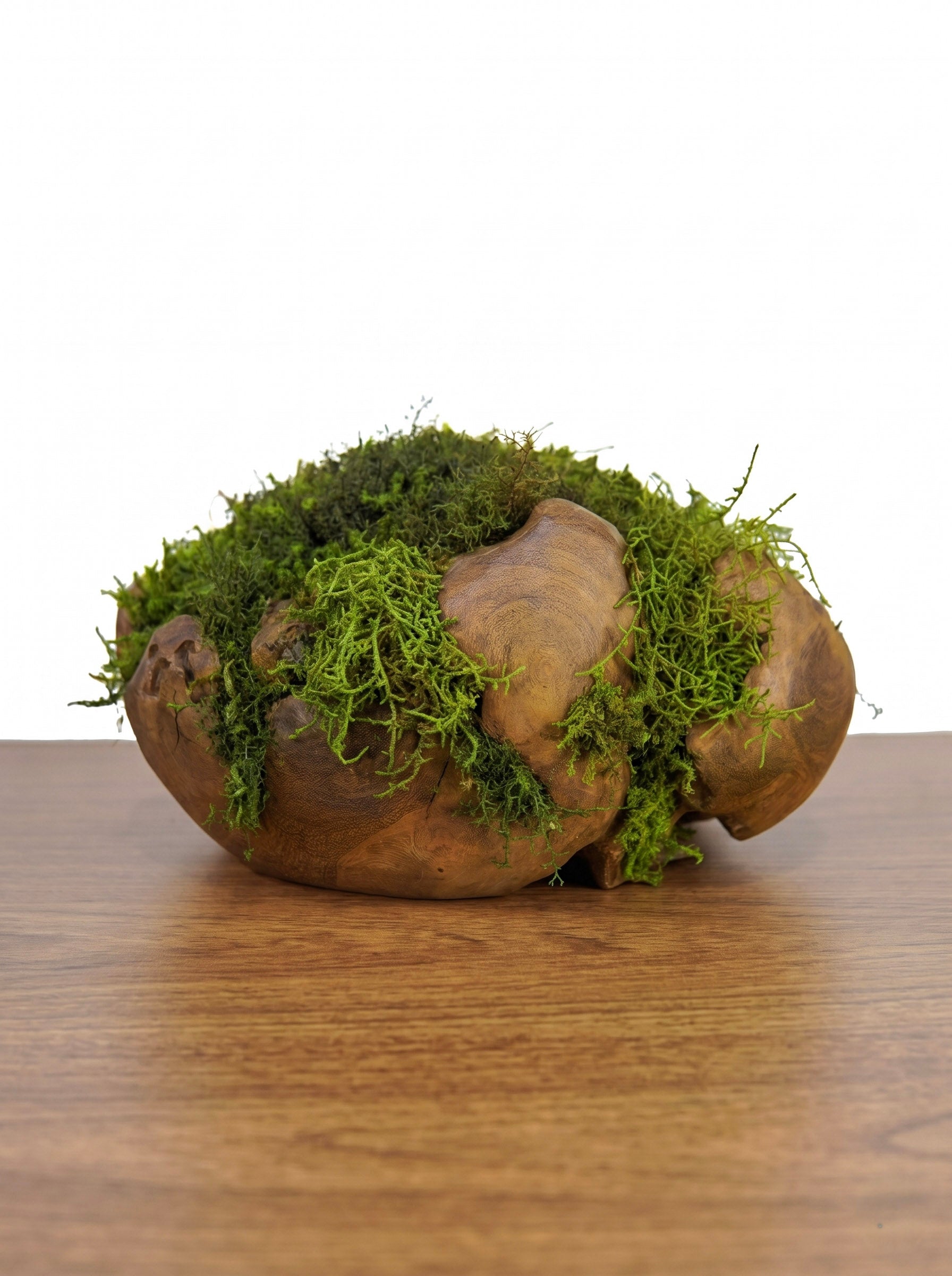 Escultura Raiz G