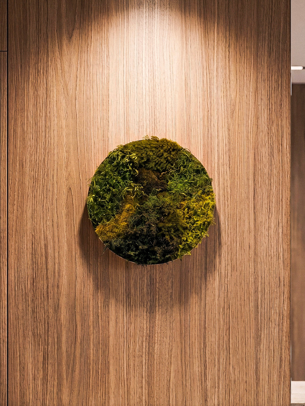 Quadro 35cm cobre (círculo)