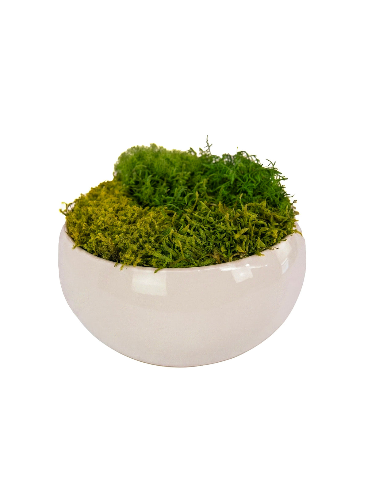 Cloud Moss Bowl
