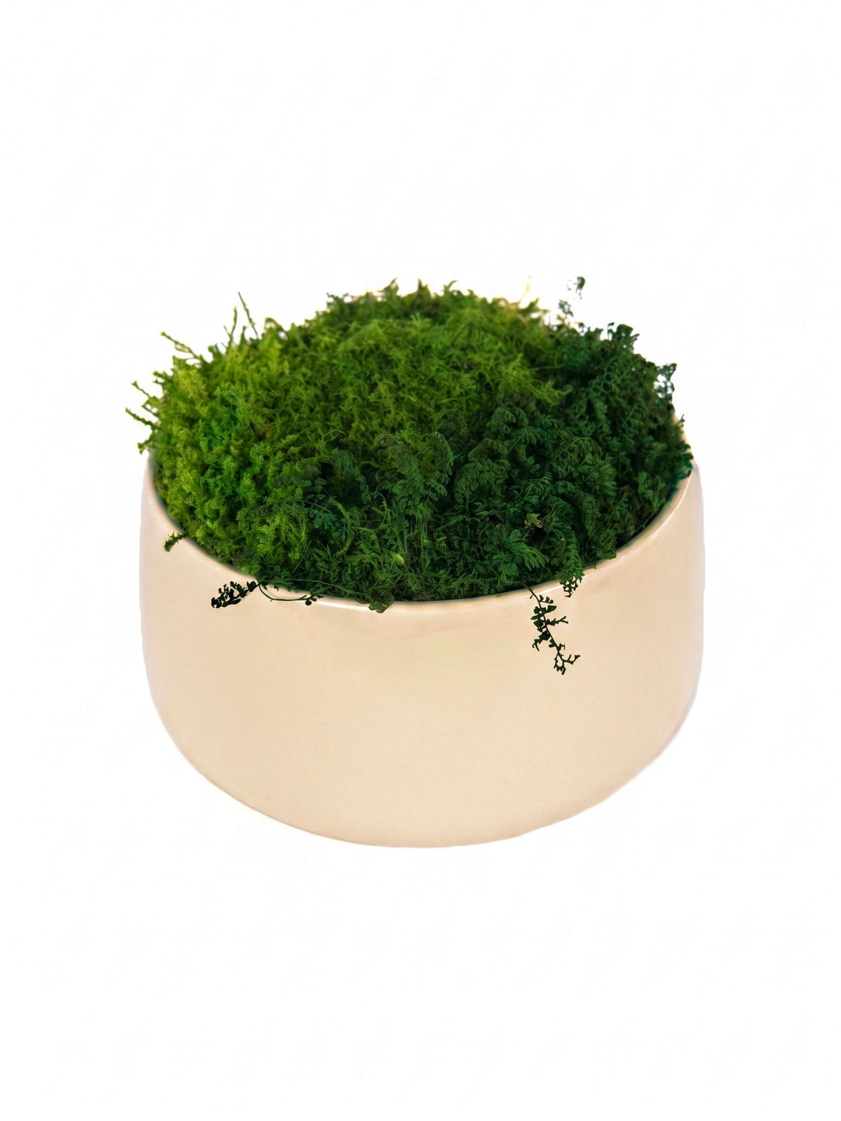 Ivory Moss Bowl I