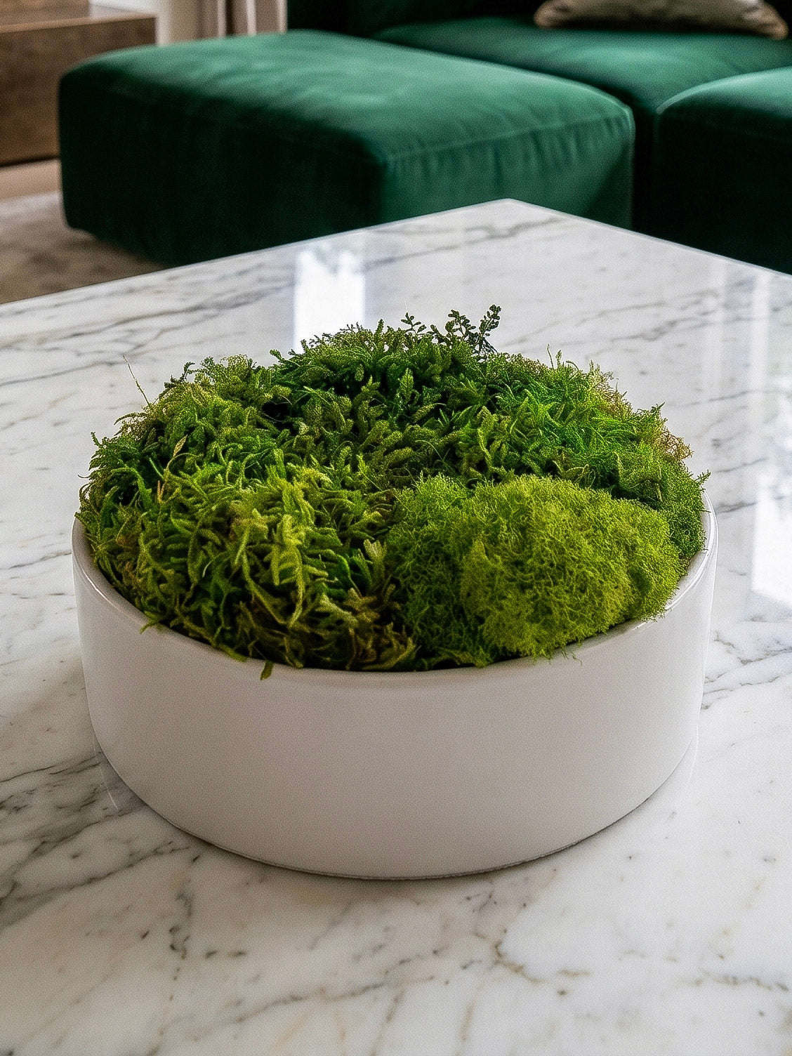 Snow Moss Bowl
