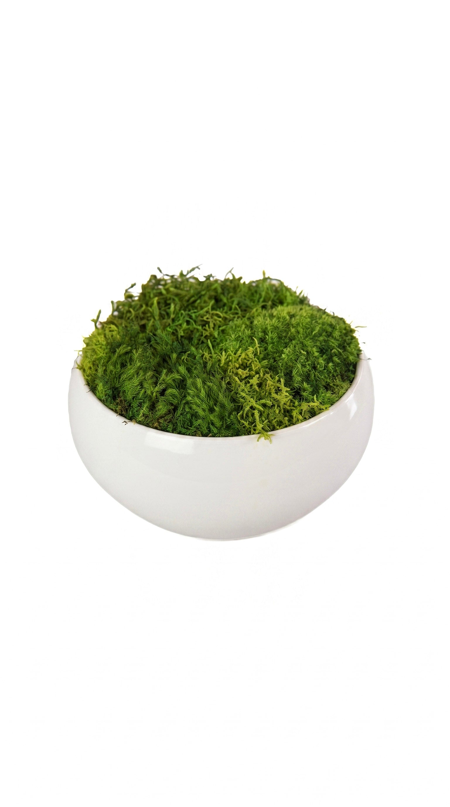 Cloud Moss Bowl I