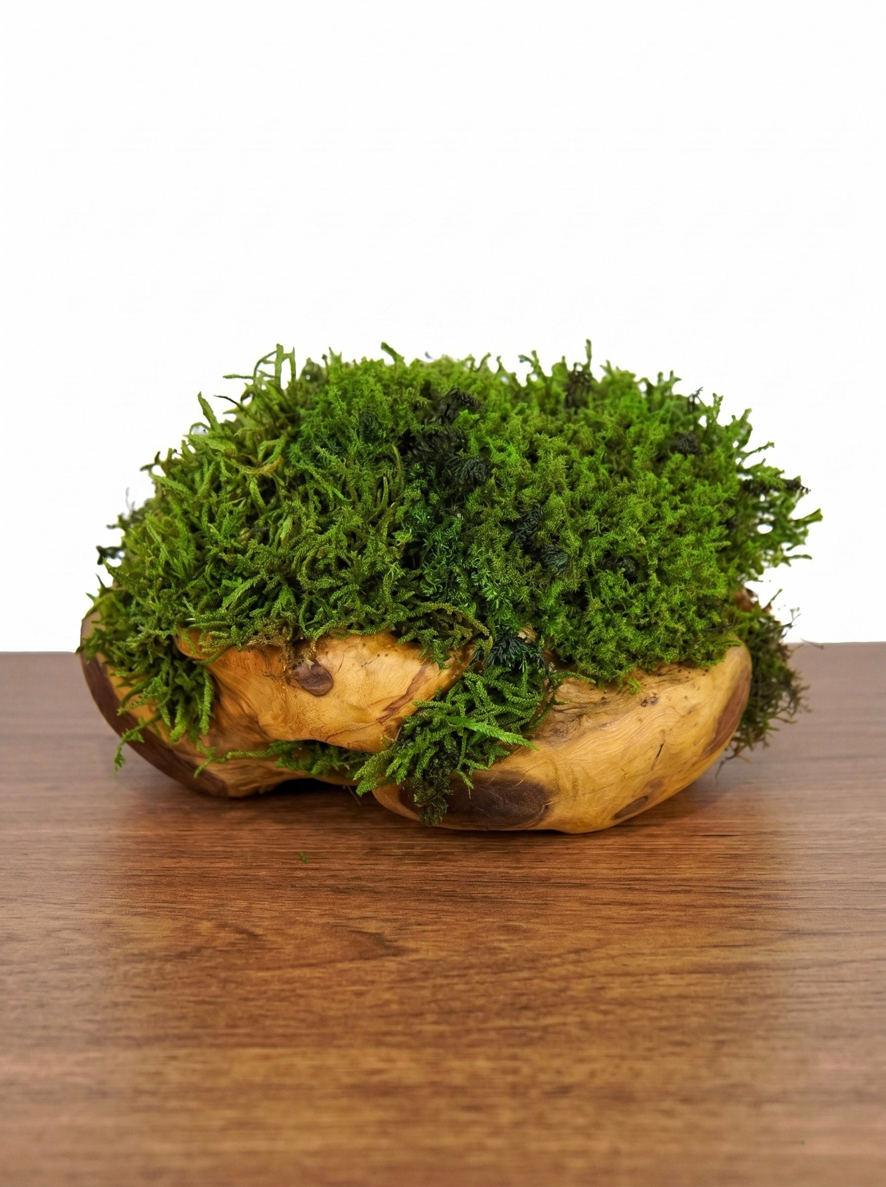 Escultura Raiz P