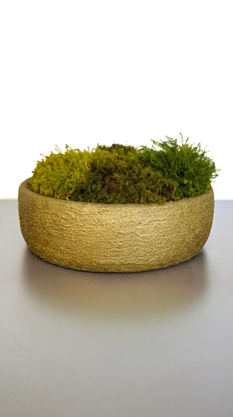 Golden Moss Bowl I