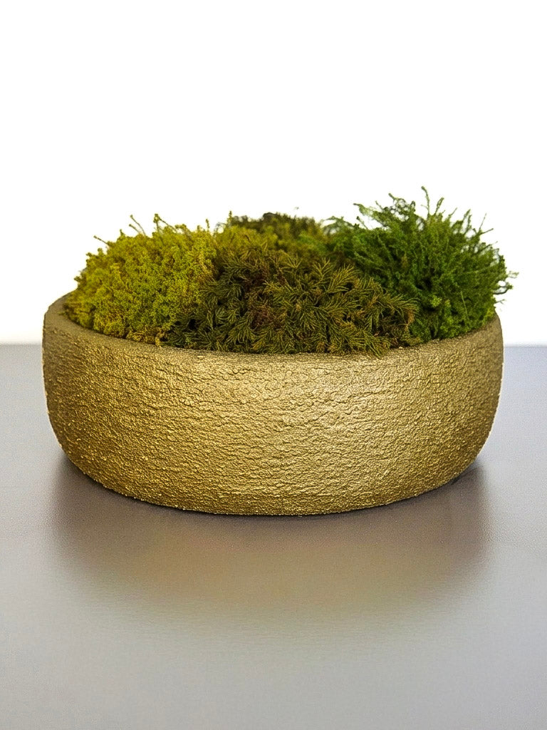 Golden Moss Bowl I(VENDIDO)