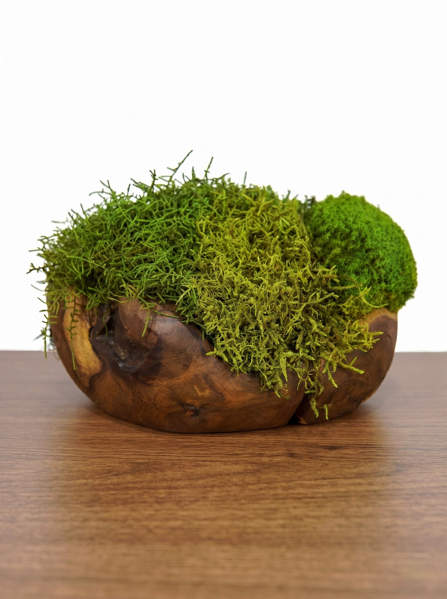 Escultura Root ll