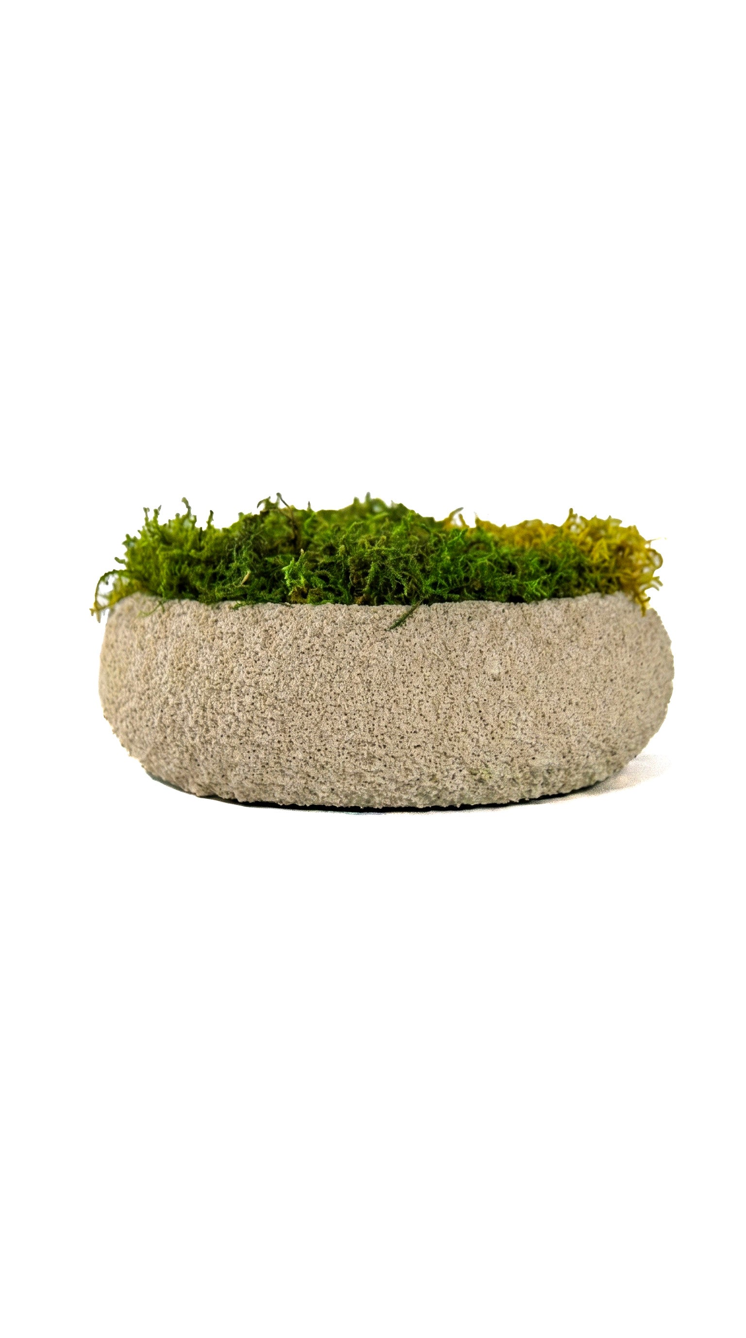 Moss Bowl Texturizado