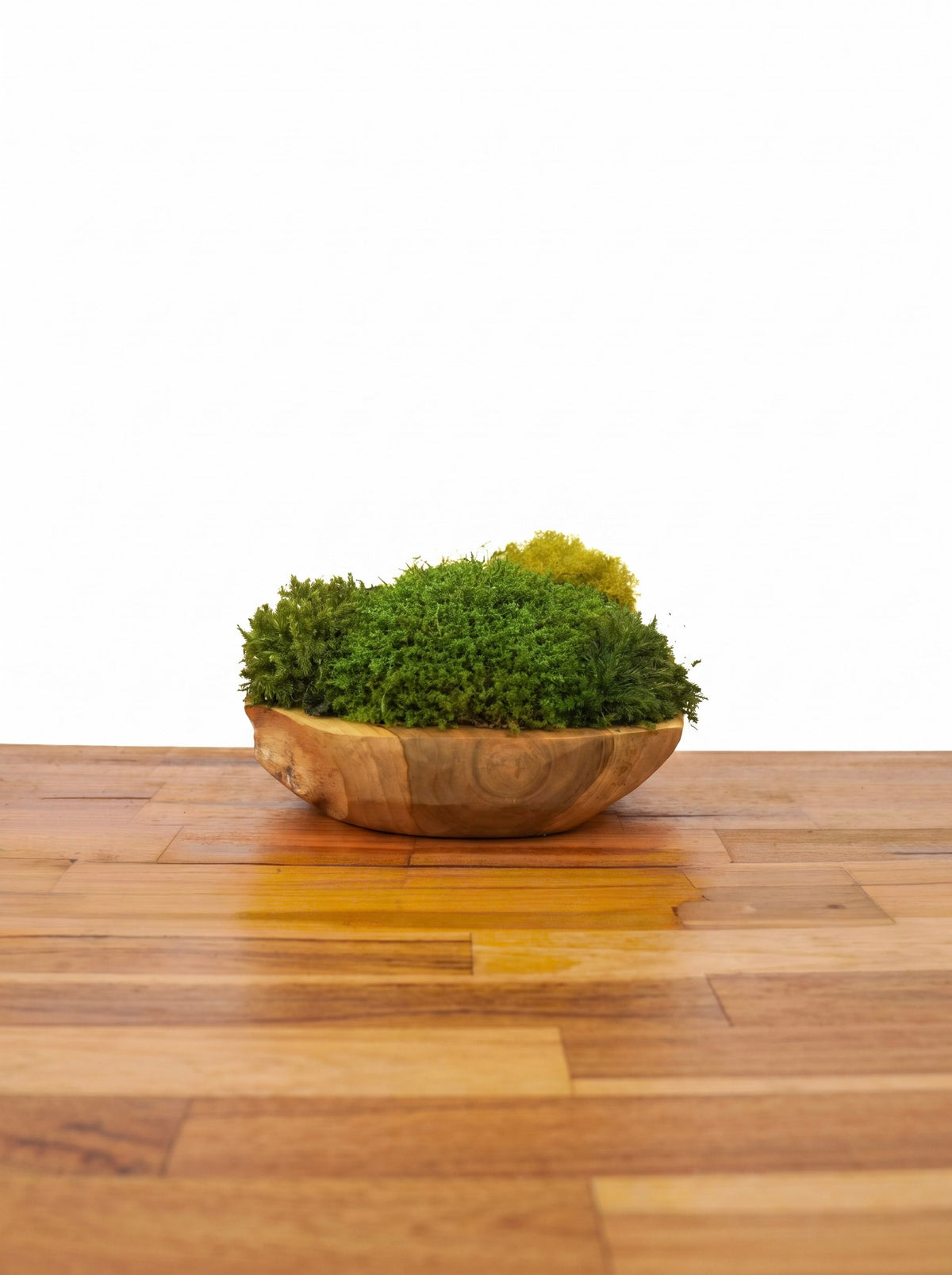 Root Teak II