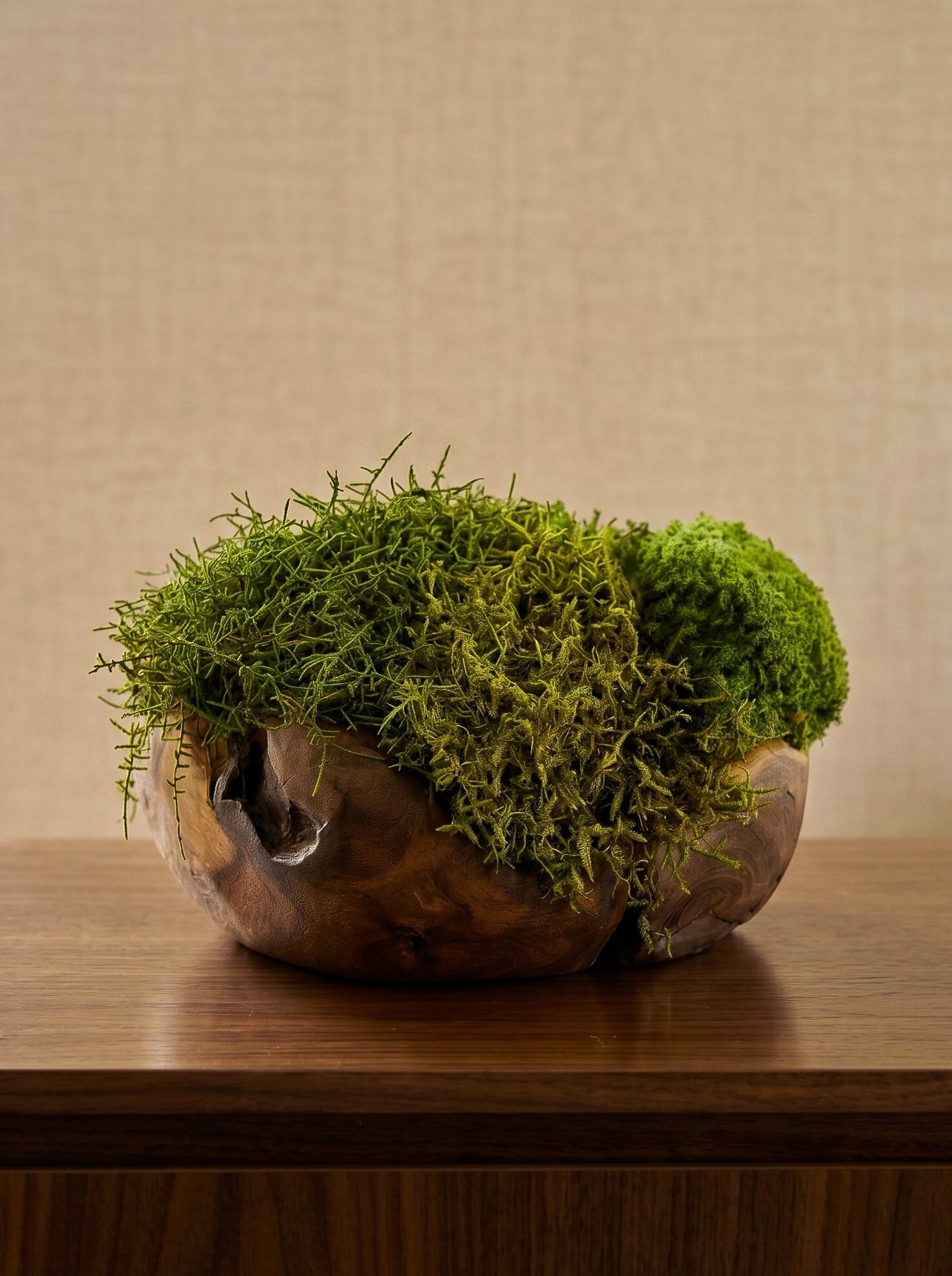 Escultura Root ll