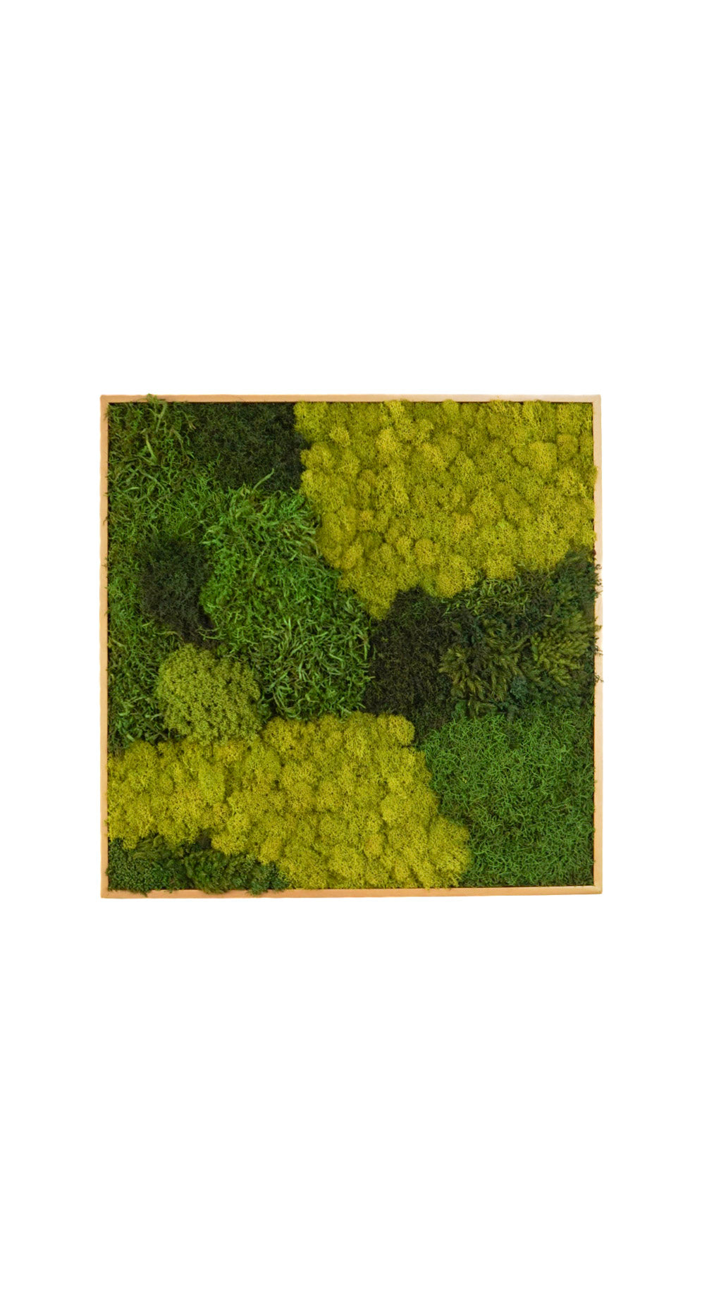 Quadro 60 x 60 DOURADO