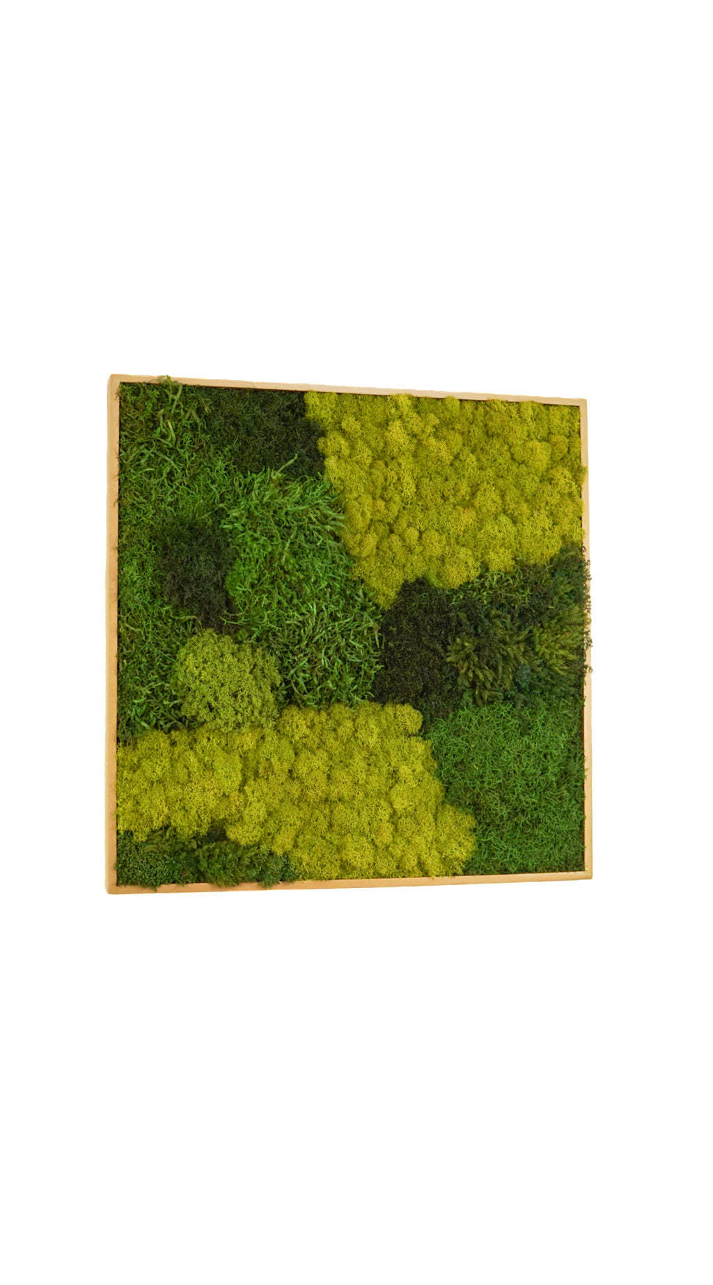 Quadro 60 x 60 DOURADO