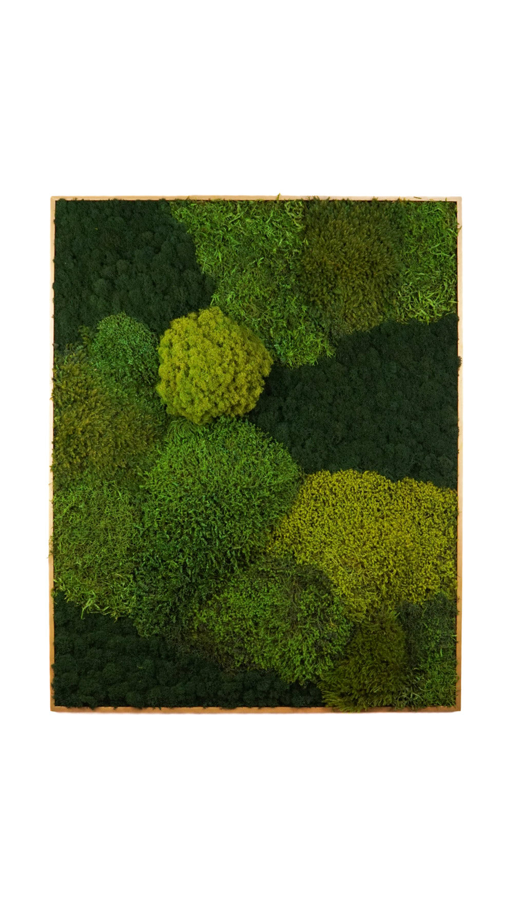 Quadro 80x100 DOURADO I