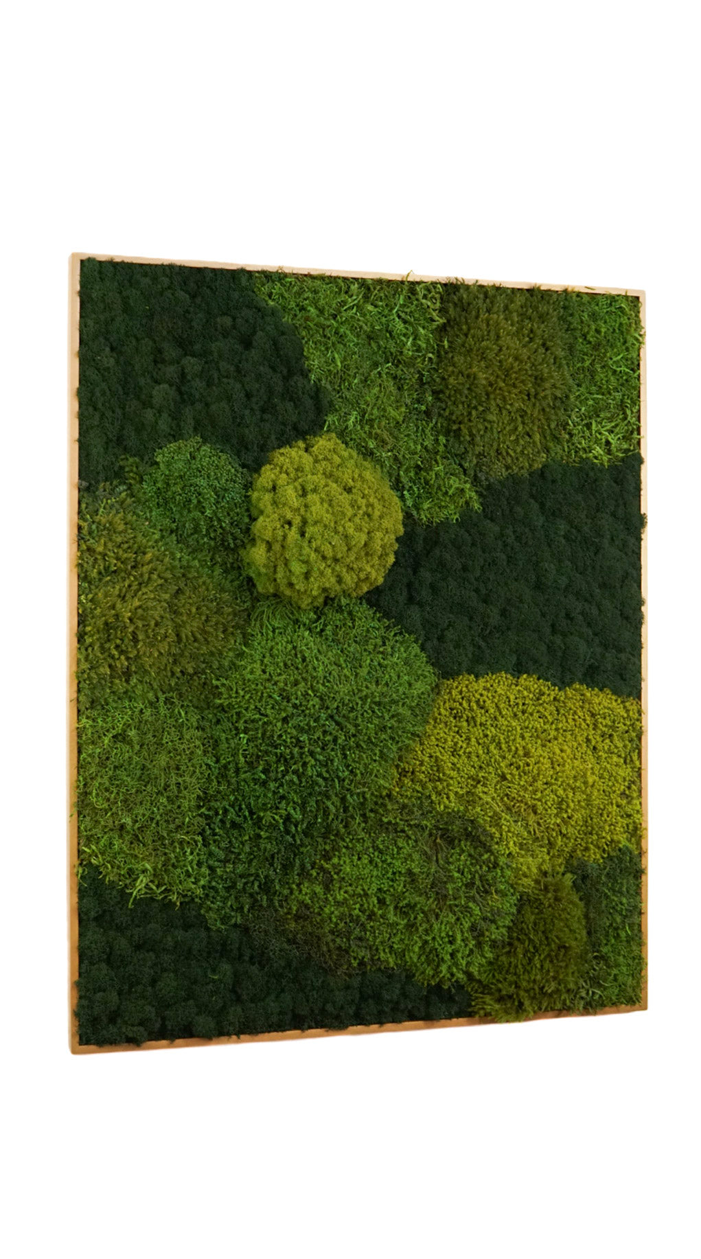 Quadro 80x100 DOURADO I